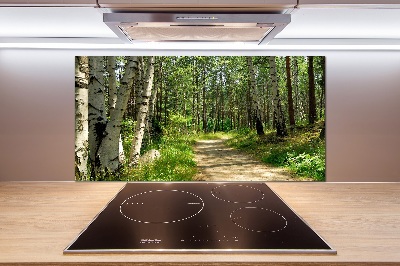 Panel antisalpicaduras Camino en el bosque