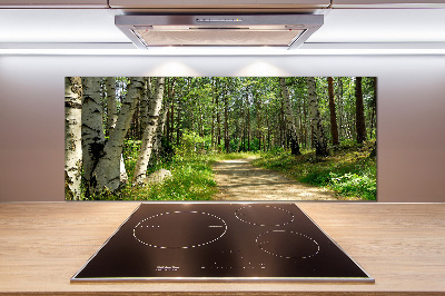 Panel antisalpicaduras Camino en el bosque