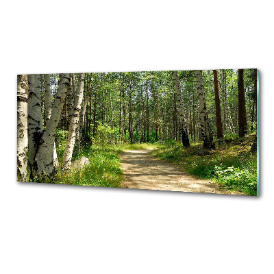 Panel antisalpicaduras Camino en el bosque