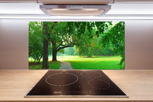 Salpicadero de cocina Parque en otoño