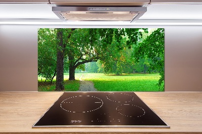 Salpicadero de cocina Parque en otoño