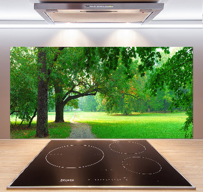 Salpicadero de cocina Parque en otoño