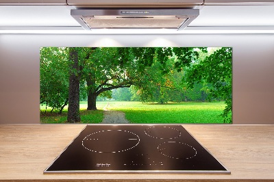 Panel do kuchni Park jesienią