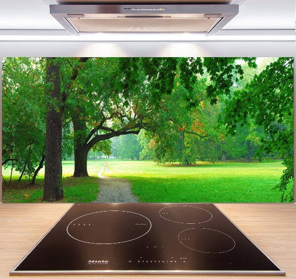 Salpicadero de cocina Parque en otoño