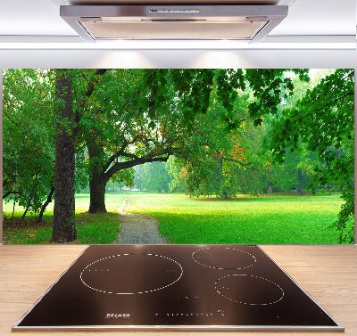 Salpicadero de cocina Parque en otoño