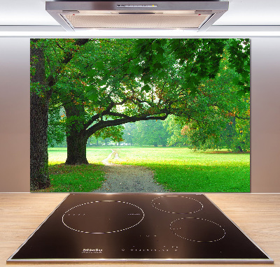 Salpicadero de cocina Parque en otoño