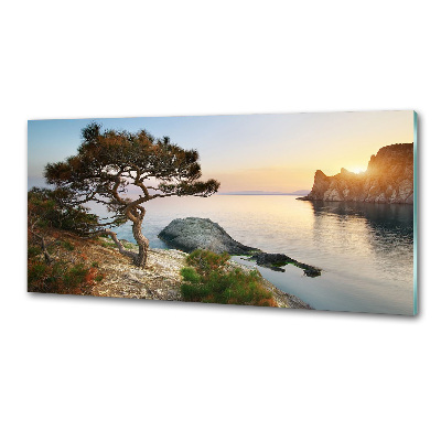 Panel para cocina Un árbol junto al mar