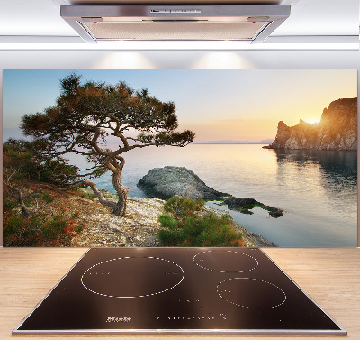 Panel para cocina Un árbol junto al mar