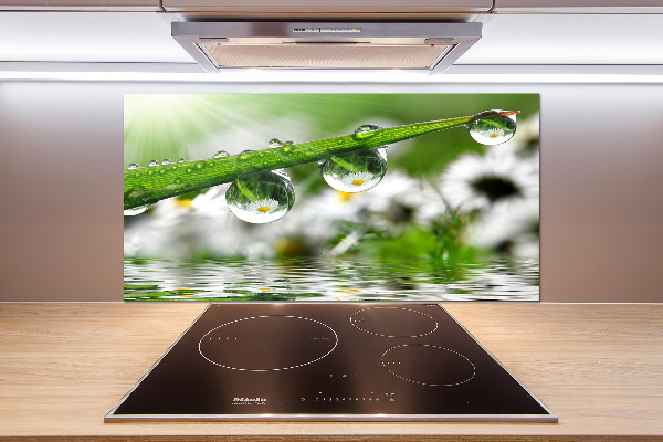 Salpicadero para cocina Gotas sobre la hierba