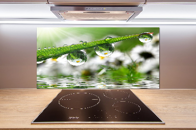 Salpicadero para cocina Gotas sobre la hierba