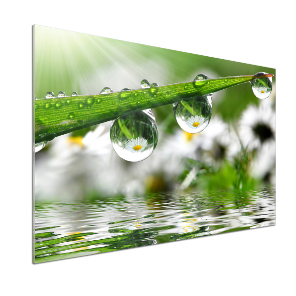 Panel do kuchni Krople na trawie