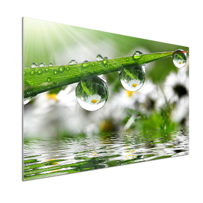 Salpicadero para cocina Gotas sobre la hierba