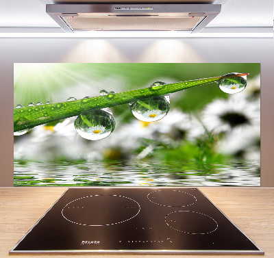 Panel do kuchni Krople na trawie