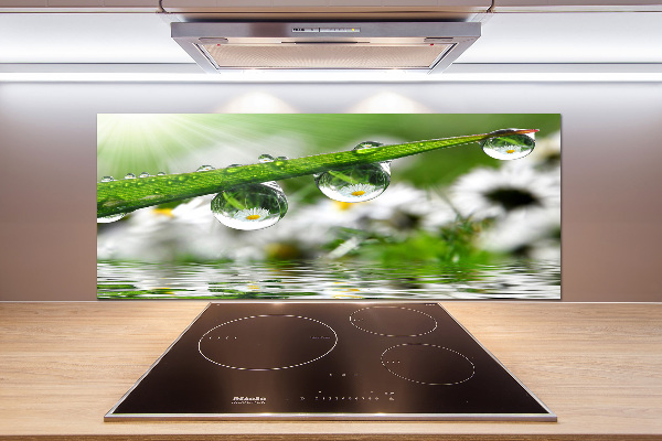 Panel do kuchni Krople na trawie