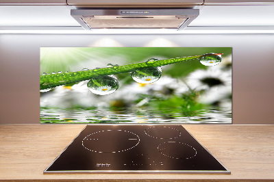 Salpicadero para cocina Gotas sobre la hierba