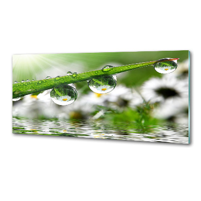 Panel do kuchni Krople na trawie