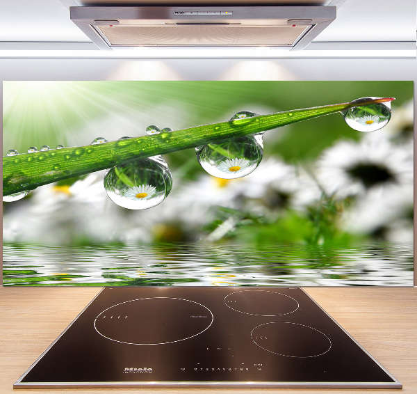 Panel do kuchni Krople na trawie