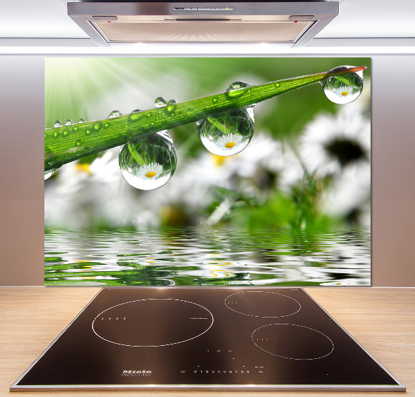 Salpicadero para cocina Gotas sobre la hierba