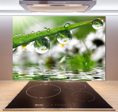 Salpicadero para cocina Gotas sobre la hierba