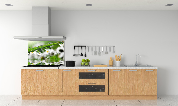 Salpicadero para cocina Gotas sobre la hierba