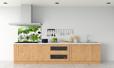 Salpicadero para cocina Gotas sobre la hierba