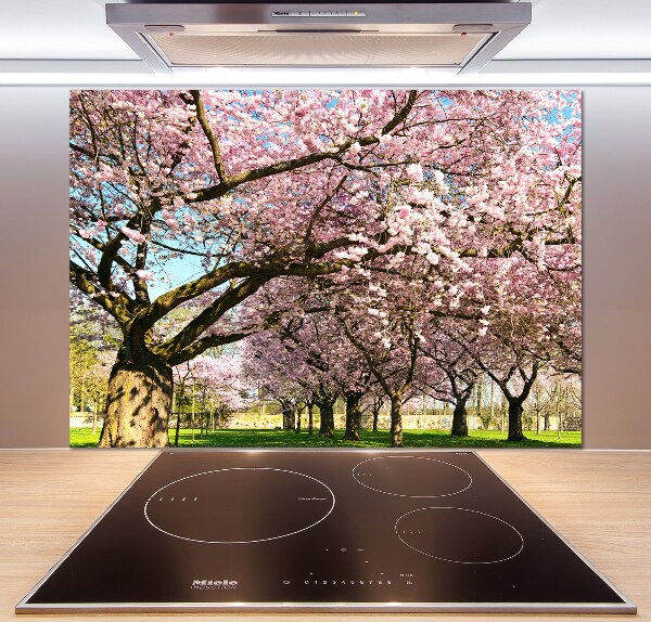 Salpicadero de cocina cerezos