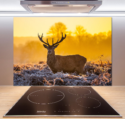 Panel lacobel Jeleń wschód słońca