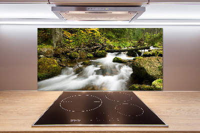 Panel do kuchni Potok Olczyski