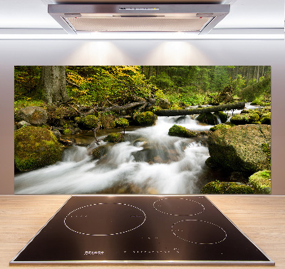 Panel antisalpicaduras Arroyo Olczyski