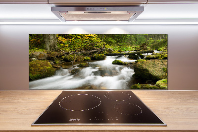 Panel do kuchni Potok Olczyski