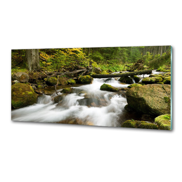 Panel do kuchni Potok Olczyski