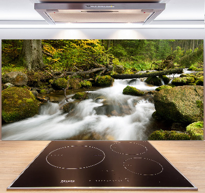 Panel antisalpicaduras Arroyo Olczyski