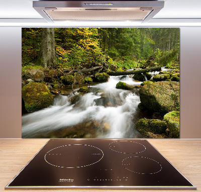 Panel antisalpicaduras Arroyo Olczyski