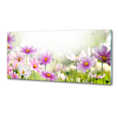Panel para cocina Flores en el prado
