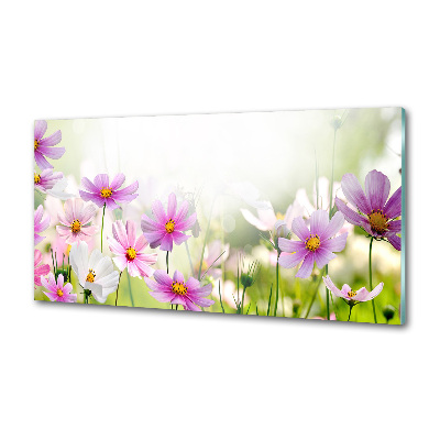 Panel do kuchni Kwiaty na łące