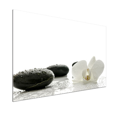 Salpicadero para cocina Orquídea