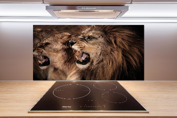 Panel de pared de cocina Leones rugientes