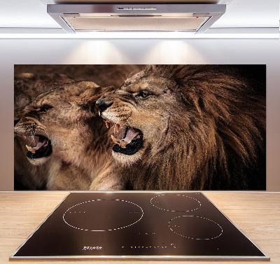 Panel de pared de cocina Leones rugientes