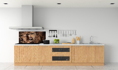 Panel de pared de cocina Leones rugientes