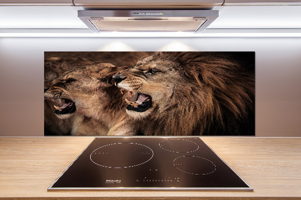 Panel de pared de cocina Leones rugientes