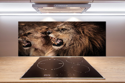 Panel de pared de cocina Leones rugientes