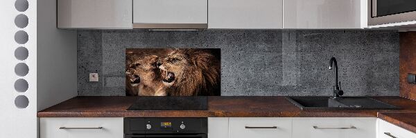Panel de pared de cocina Leones rugientes