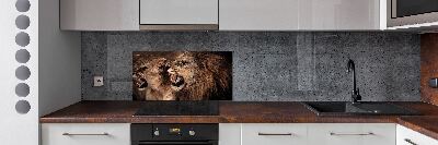 Panel de pared de cocina Leones rugientes