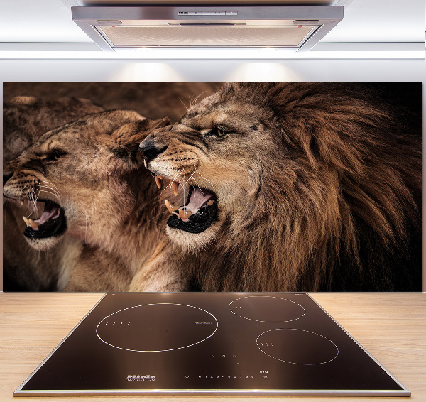 Panel de pared de cocina Leones rugientes