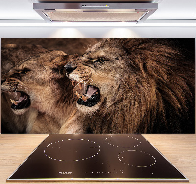 Panel de pared de cocina Leones rugientes