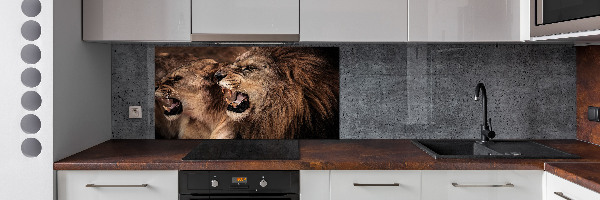 Panel de pared de cocina Leones rugientes