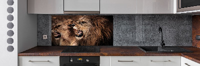 Panel de pared de cocina Leones rugientes