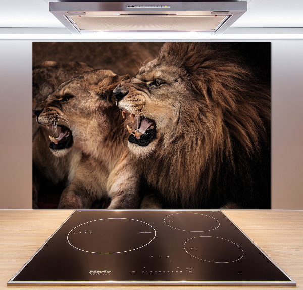 Panel de pared de cocina Leones rugientes