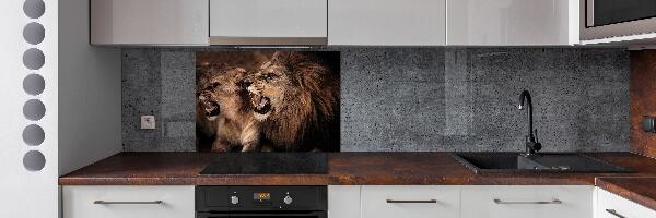 Panel de pared de cocina Leones rugientes
