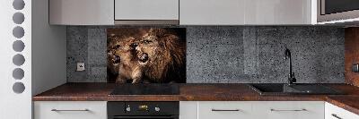 Panel de pared de cocina Leones rugientes